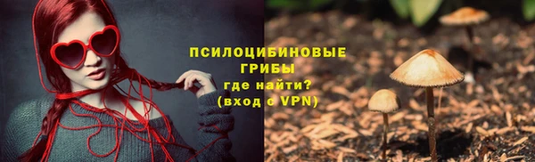 шишки Бородино