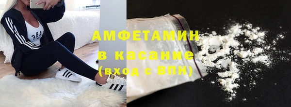 шишки Бородино
